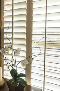 plantation shutters Fisher Lumber