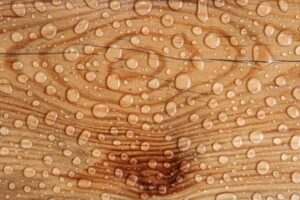 Signs of Water Damage in Wood 