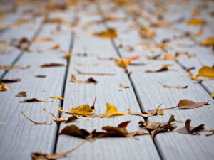 fisher lumber wood deck